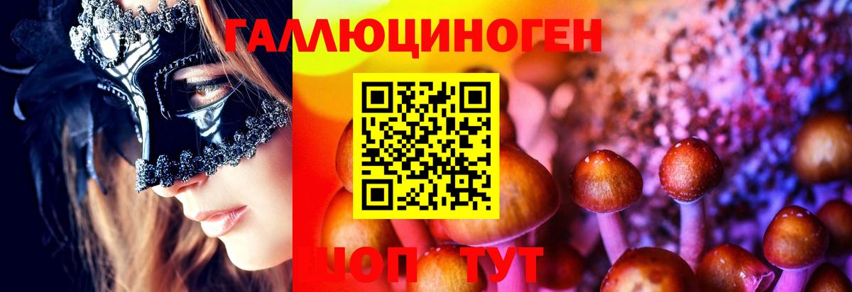 Галлюциногенные грибы Cubensis  хочу   Белгород  Вход с VPN 
